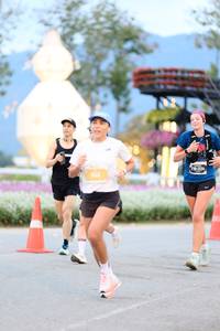 BIB: 
                            <button type="button" onclick="openModal(27855812)" class="btn btn-primary btn-sm float-right btn-popup" data-toggle="modal" data-target=".modal-high-quality">
                        <i class="fas fa-shopping-cart"></i> Add to Cart
                    </button>
                                            <button type="button" onclick="isThisMe(27855812, true)" class="btn btn-success btn-sm float-right btn-popup btn-isme hidden" data-toggle="tooltip" data-placement="bottom" title="นี่คือรูปของคุณใช่ไหม คลิกที่นี่เพื่อเอาเข้าอัลบั้ม">
                        <i class="fas fa-plus"></i> Add to album
                    </button>
                    <button type="button" onclick="isThisMe(27855812, false)" class="btn btn-warning btn-sm float-right btn-popup btn-isnotme hidden">
                        <i class="fas fa-ban"></i> Remove from album
                    </button>